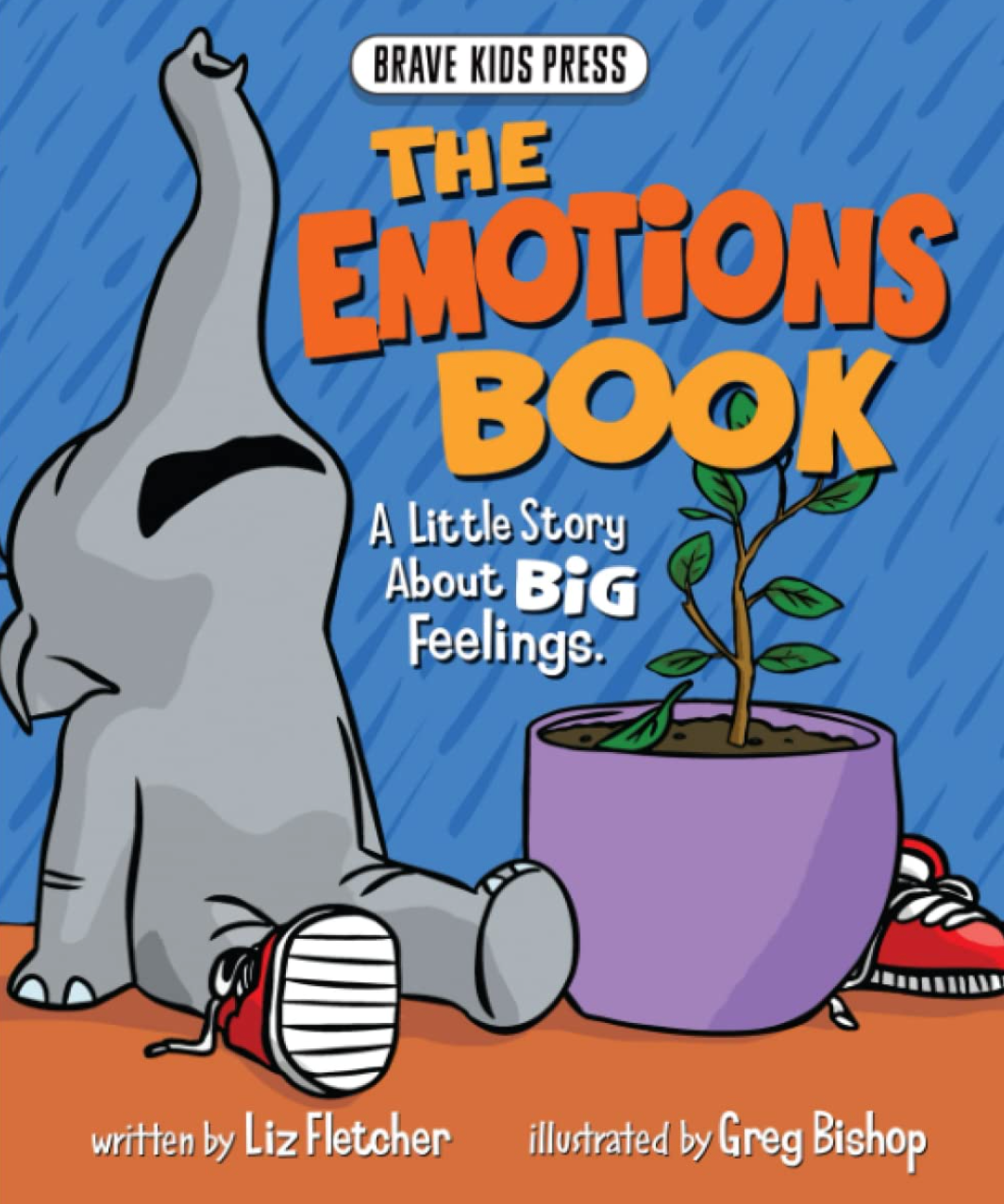 The Emotions Book: A Little Story About Big Emotions